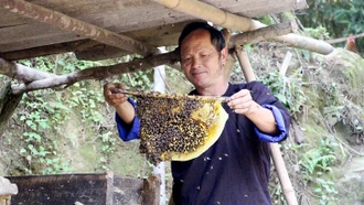 Người dân xã Kim Nọi kiểm tra chất lượng mật &#111;ng.
