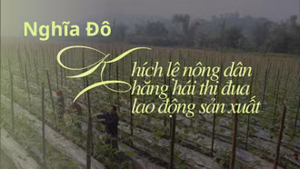 Nghĩa Đô: Khích lệ nông dân hăng hái thi đua lao động sản xuất