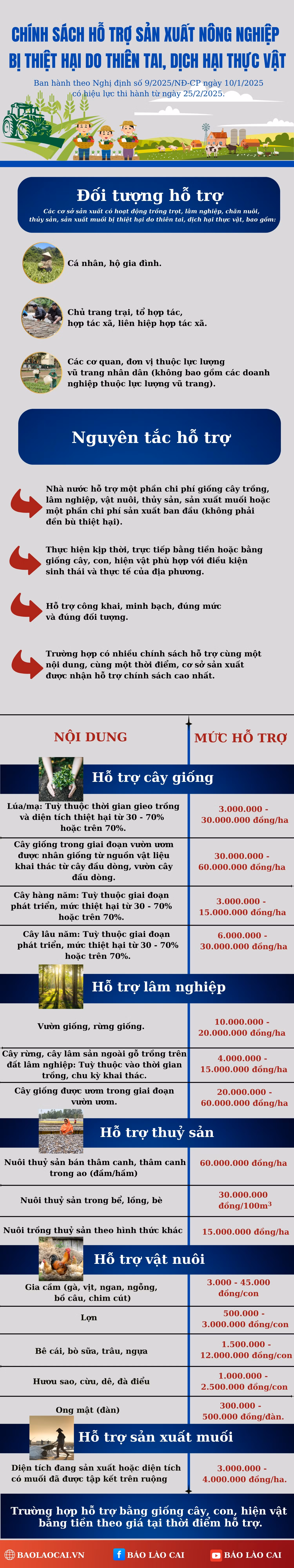 noi-dung-doan-van-ban-cua-ban-3.png