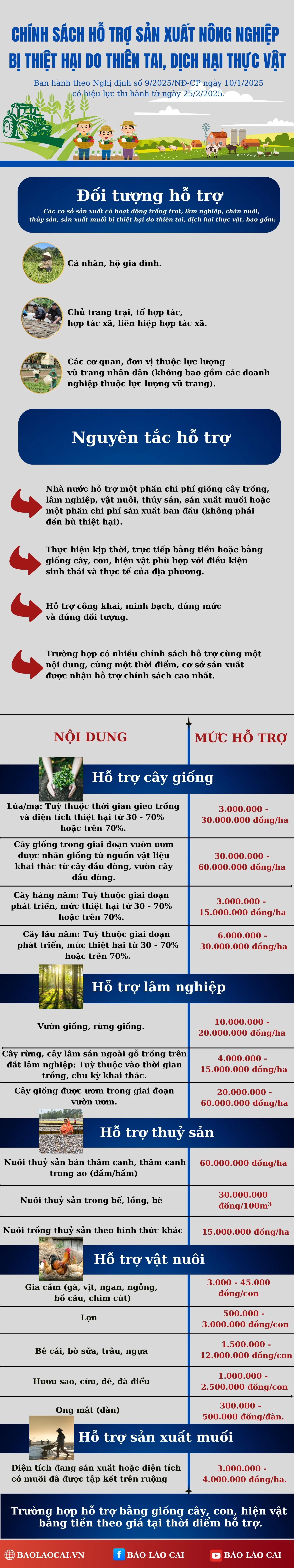 noi-dung-doan-van-ban-cua-ban-3.png