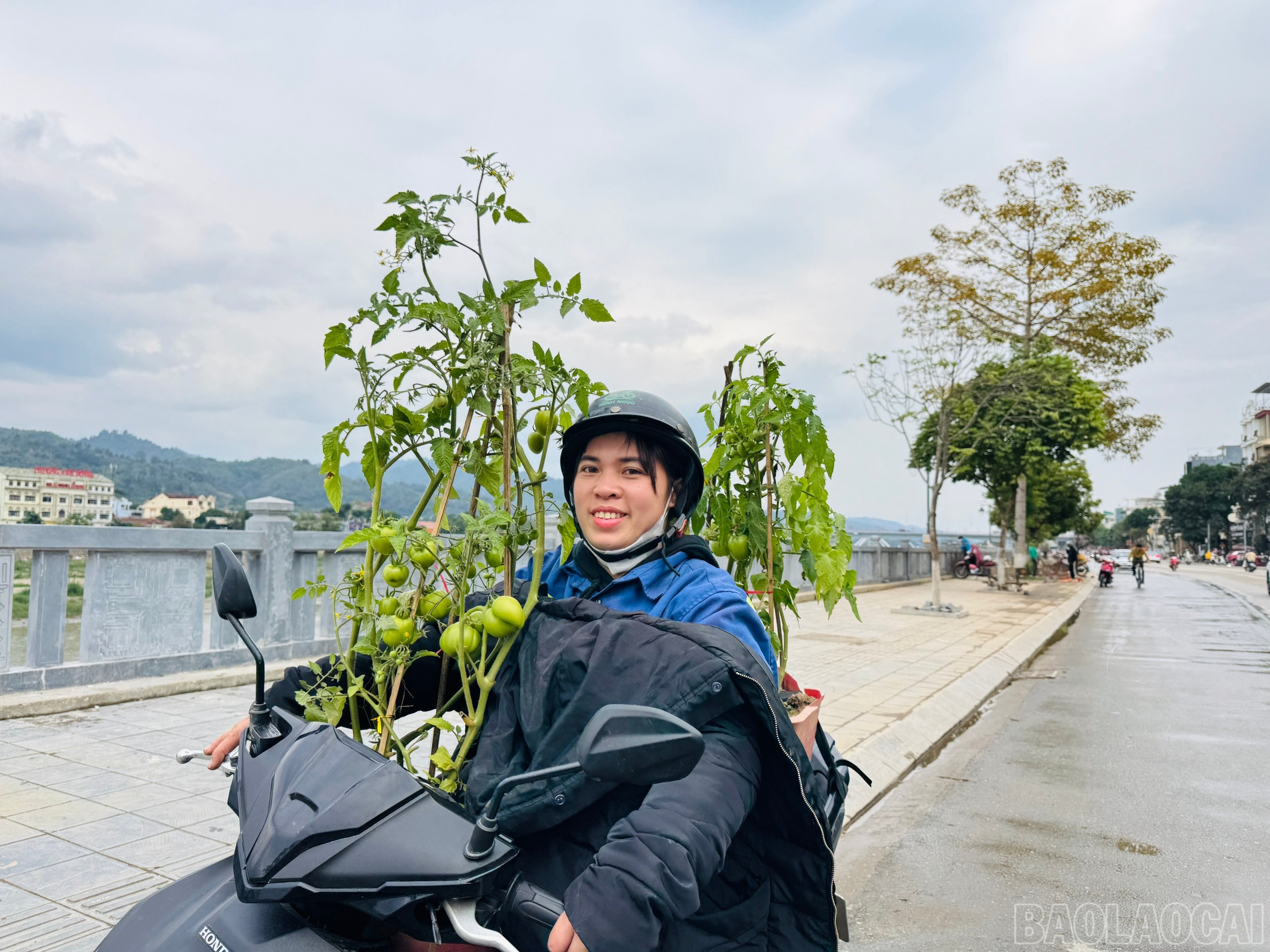 Niềm vui nhỏ bé của công nhân môi trường là những phút giây tranh thủ sắm tết trong những ngày cuối năm. baolaocai-br_z6270219145218-677a3caacfb3a61d36e80c72f8385ece.jpg