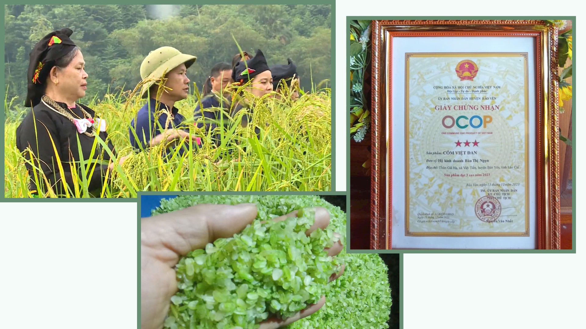 Nghề làm cốm không chỉ mang lại nguồn thu nhập ổn định cho nhiều hộ dân, mà còn góp phần bảo tồn và phát huy giá trị văn hóa truyền thống của địa phương 6-7700.png
