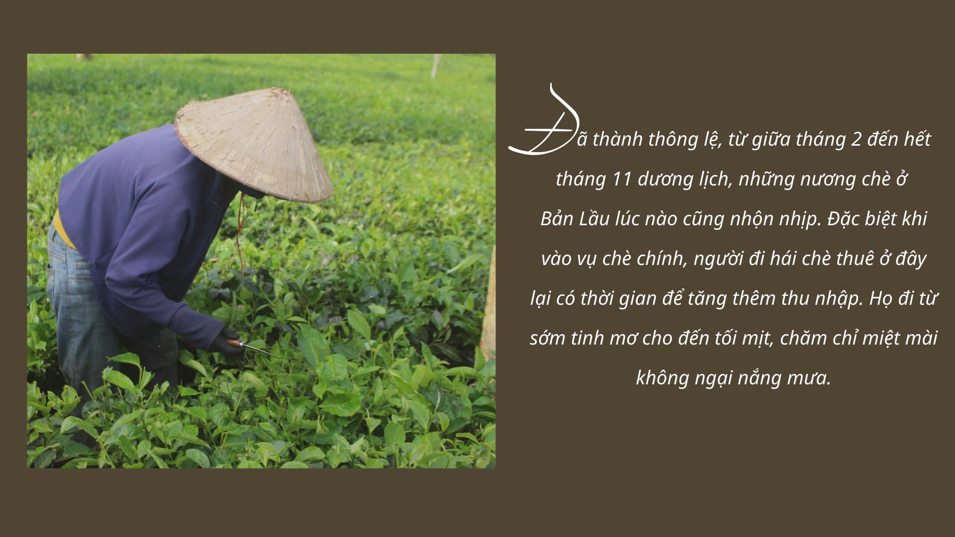 img-9021.png