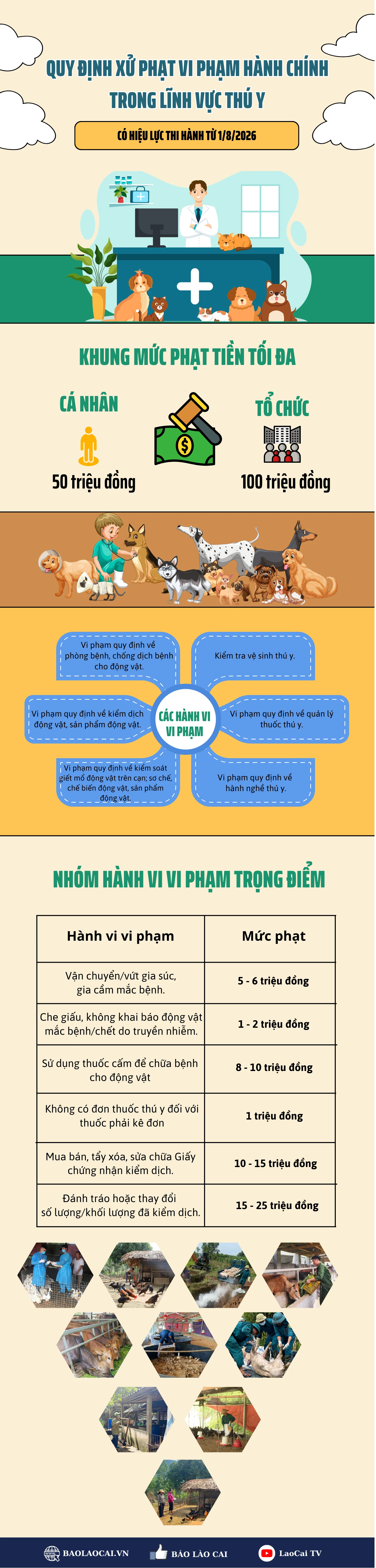infographic-thu-y.png