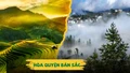 Mù Cang Chải và Sa Pa