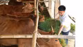 Những mô hình kinh tế tiêu biểu ở Phong Dụ Hạ