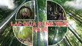 Lạc giữa rừng trúc Mồ Dề