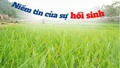 Niềm tin của sự hồi sinh