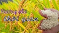 Hương của thời gian
