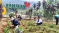 Hỗ trợ trồng hơn 35 nghìn cây hoa phát triển du lịch sinh thái 