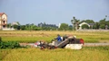 Hành trình “hạt gạo làng ta” vươn ra thế giới