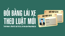 [Infographic] Đổi bằng lái xe theo luật mới