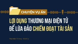 Lợi dụng thương mại điện tử để lừa đảo chiếm đoạt tài sản