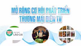 Mở rộng cơ hội phát triển thương mại điện tử