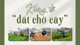 Không để “đất chờ cây”