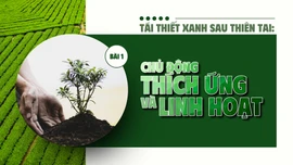 Bài 1: Chủ động thích ứng và linh hoạt