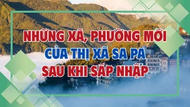 [Infographic] Các xã, phường mới của thị xã Sa Pa sau khi sáp nhập