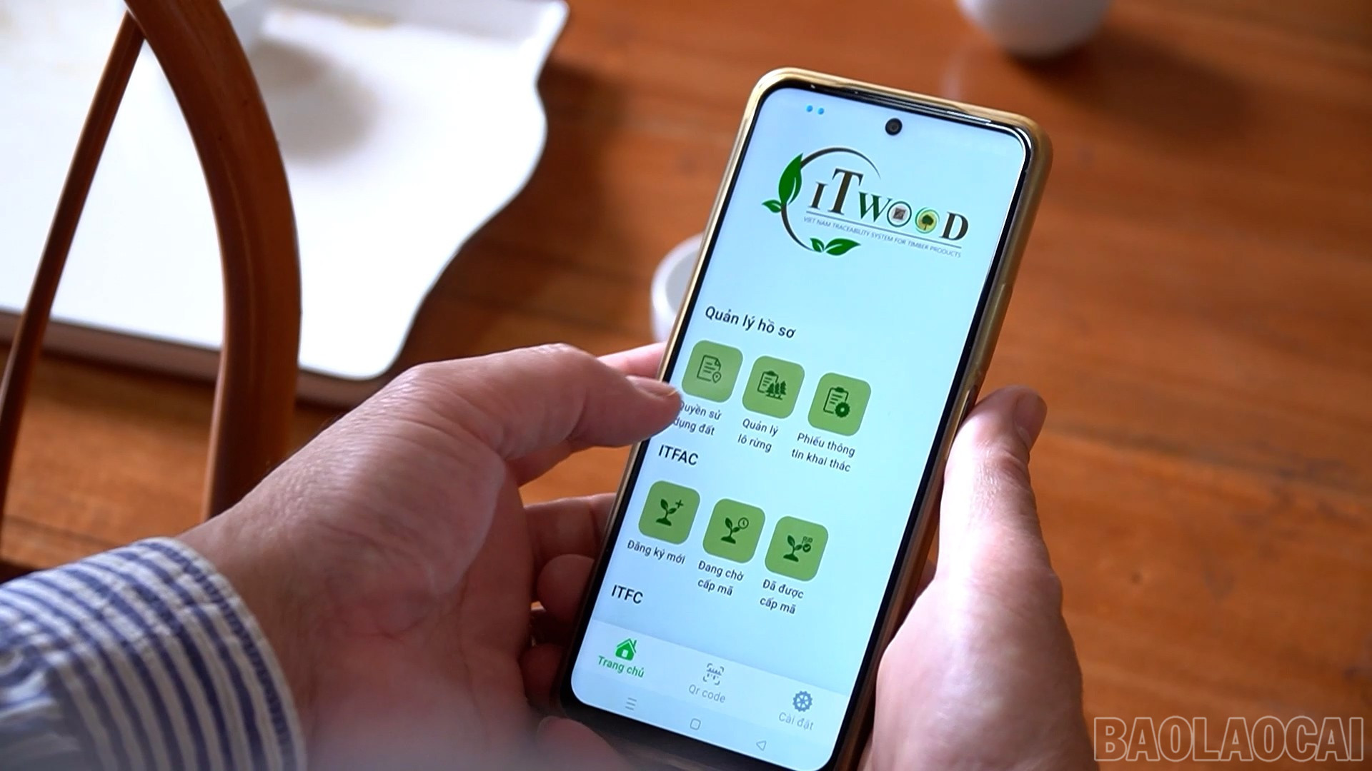 baolaocai-br_ung-dung-itwood-2.jpg