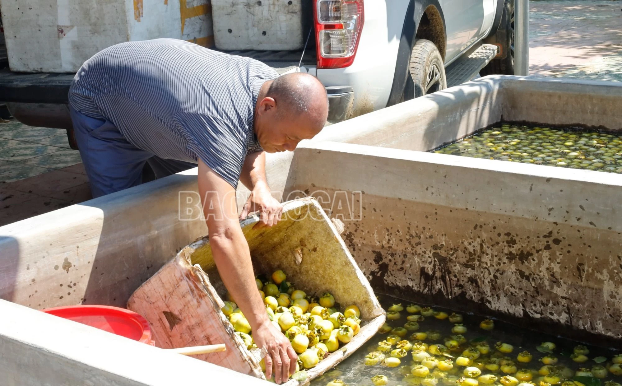 20230830110758__MG_0719 (1).JPG