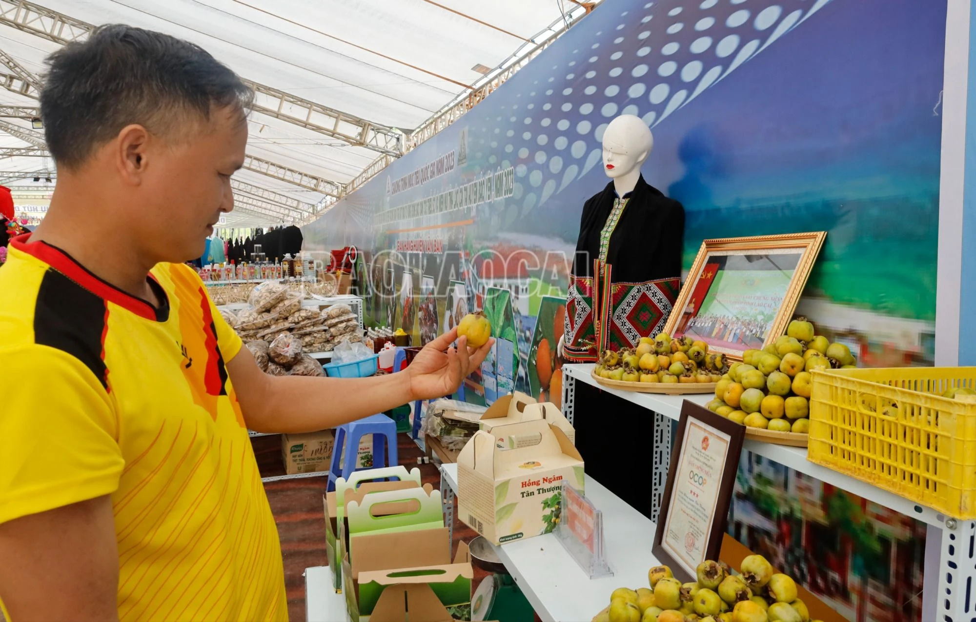 20230830115456__MG_0774 (1).JPG