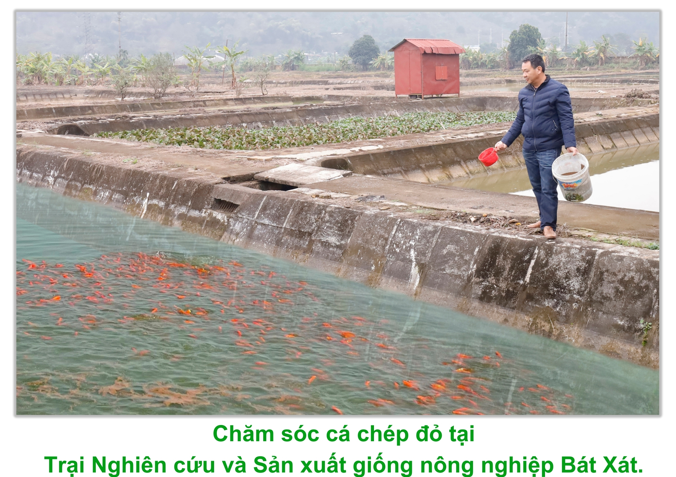 Chep2.jpg