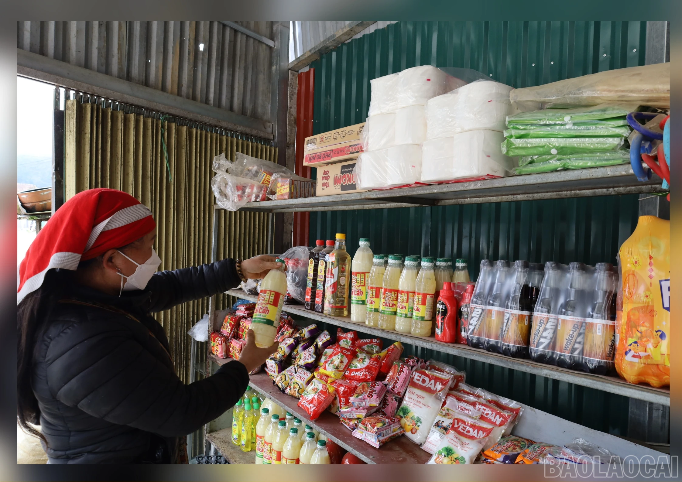baolaocai_hangviet2.jpg