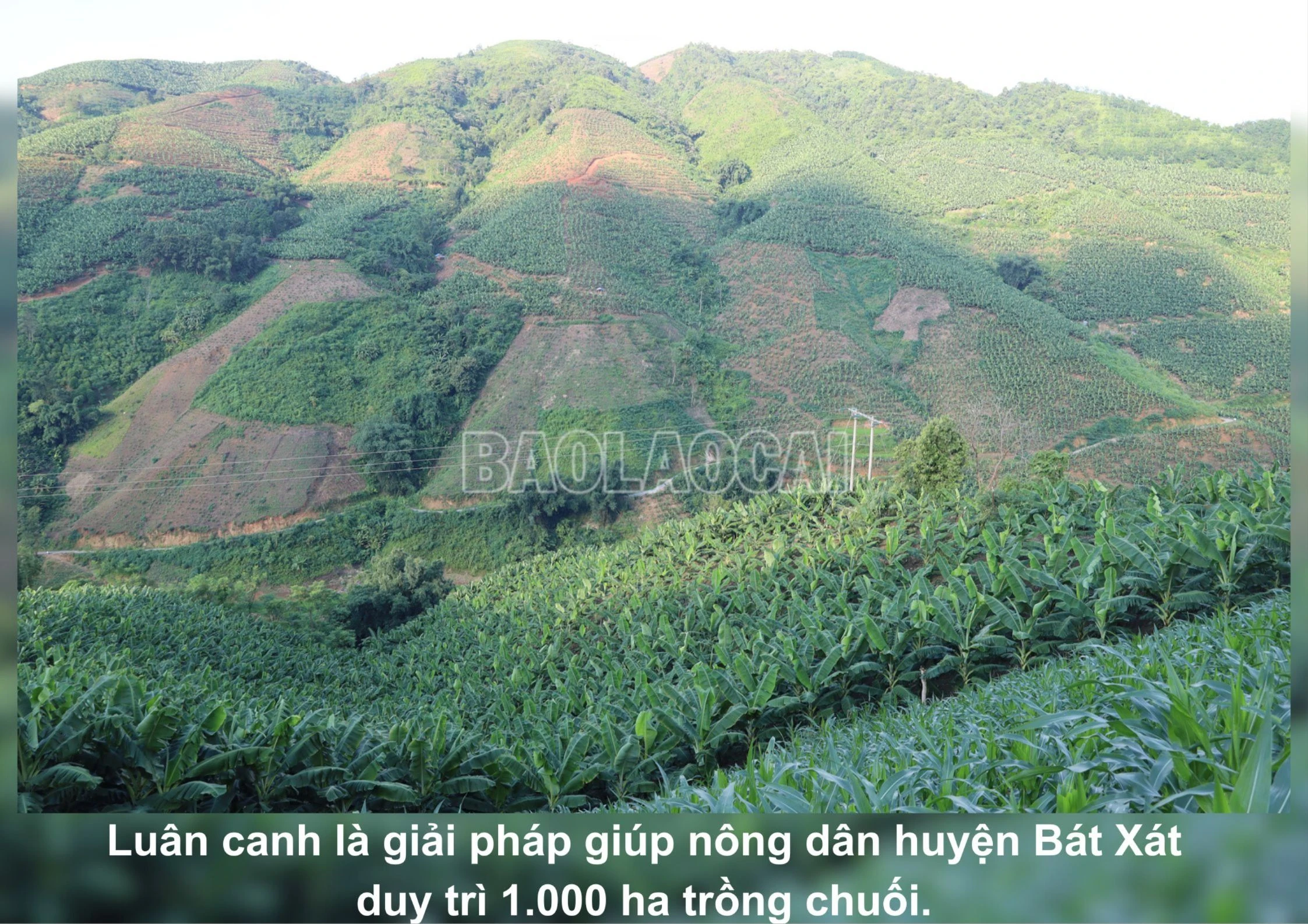 chienluocchuoi (2).jpg