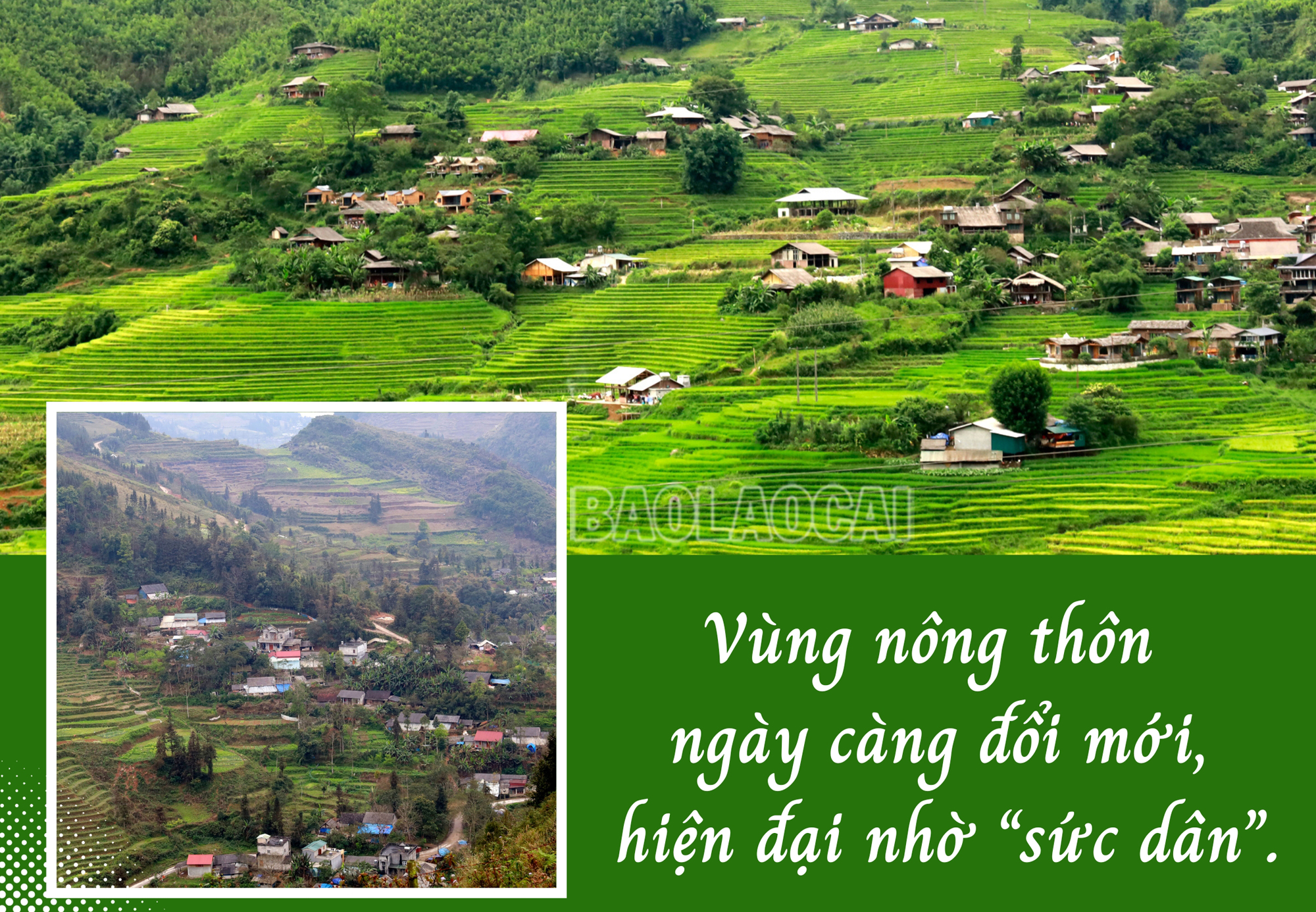 Mẫu nông nghiệp.jpg