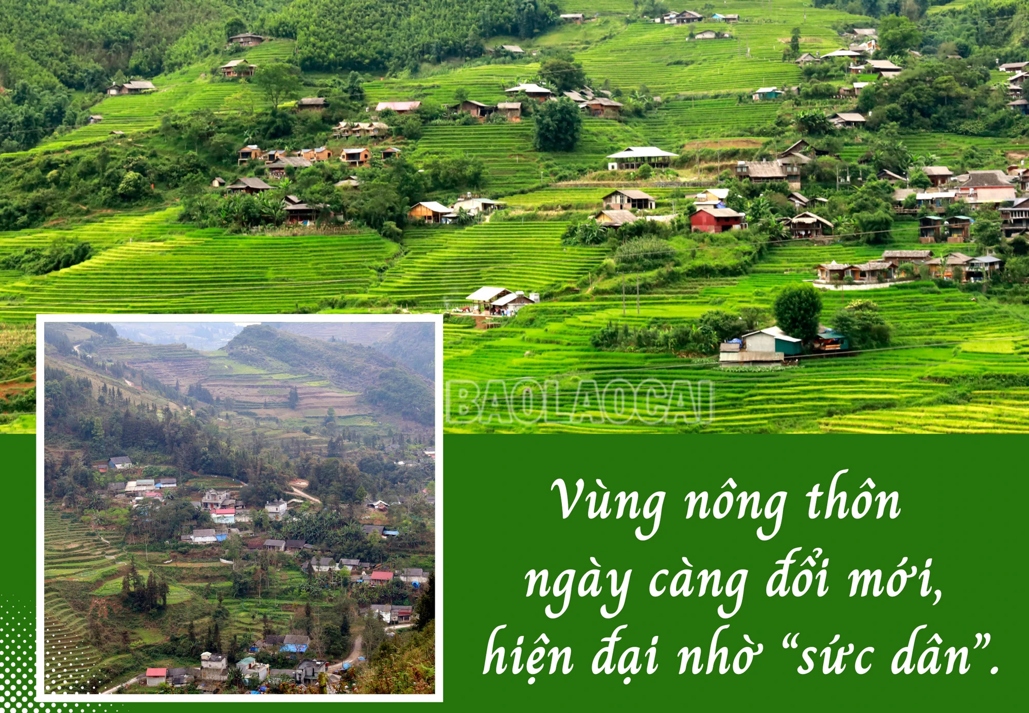 Mẫu nông nghiệp.jpg