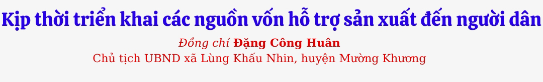 LKN1.jpg