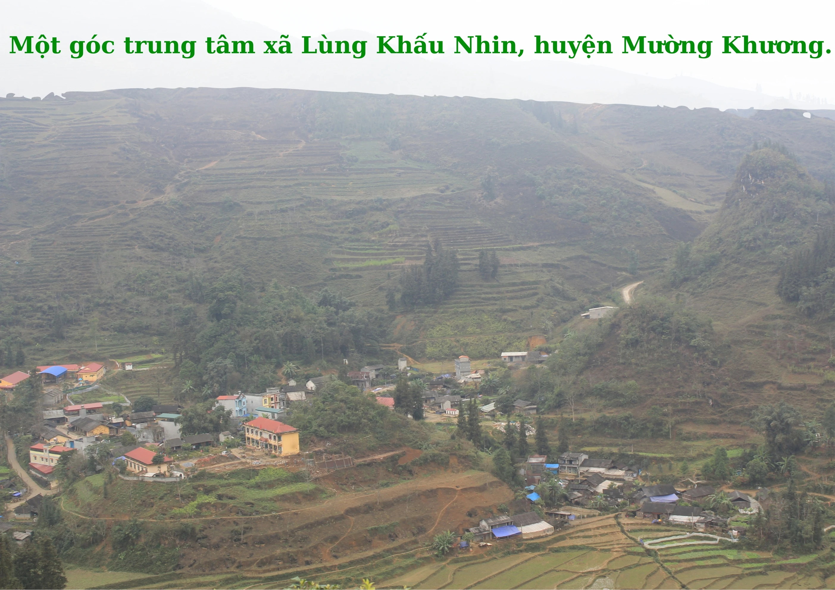 Vụ đông năm 2023_20240325_103404_0000.jpg