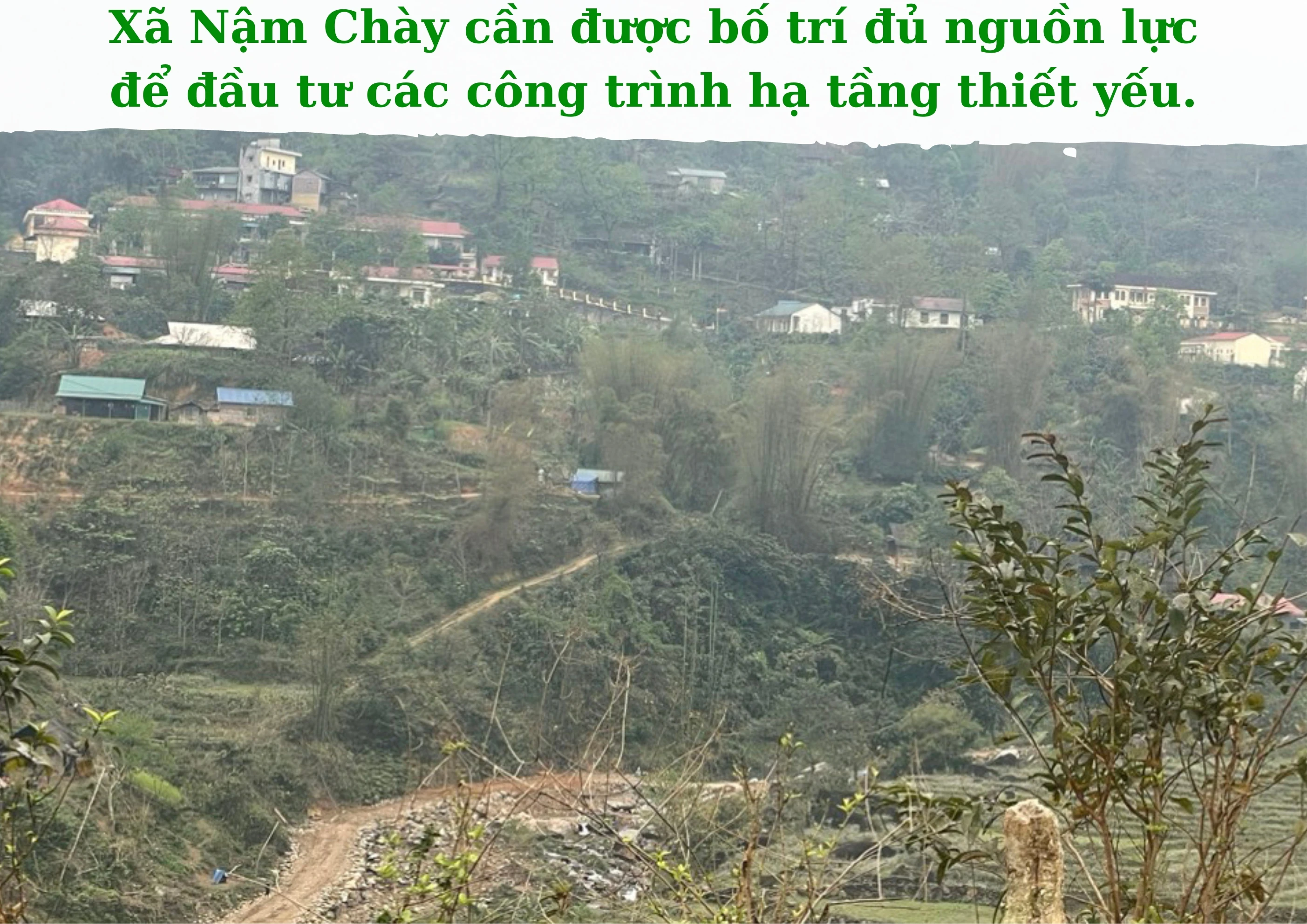 Vụ đông năm 2023_20240325_103516_0000.jpg