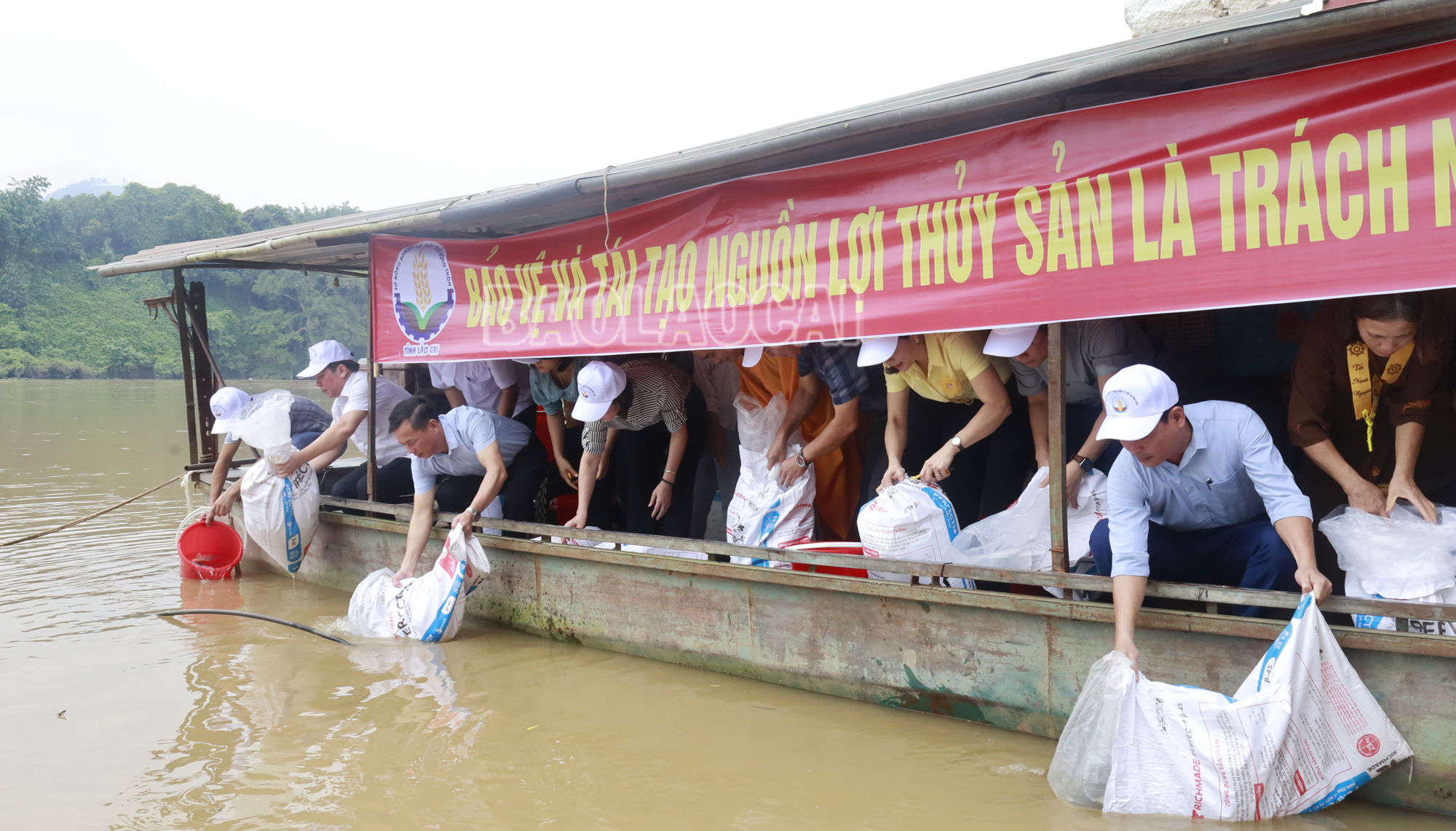 Nhiều loại thủy sản quý được thả, giúp tái tạo nguồn lợi thủy sản trên sông Hồng. phongsinh3.jpg
