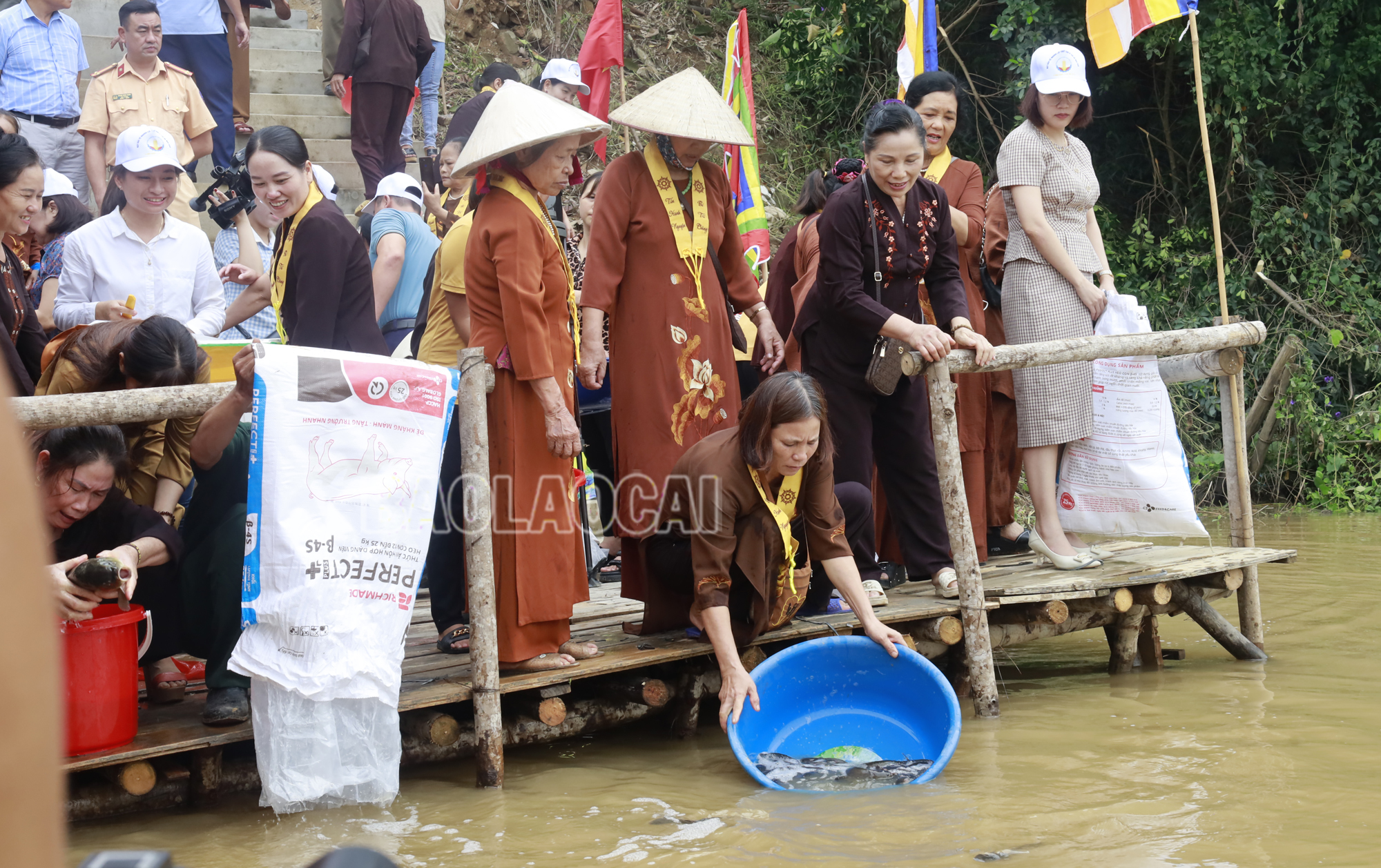 Người dân tham gia thả cá xuống sông Hồng. phongsinh4.jpg