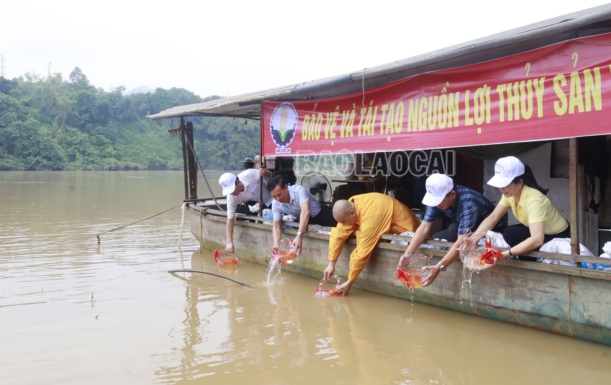 Đại biểu thả phóng sinh cá xuống sông Hồng. phongsinh.jpg