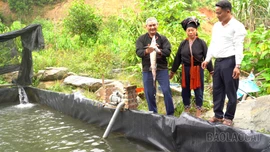 Phong Dụ Thượng phát triển kinh tế từ lợi thế địa phương