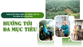Hướng tới đa mục tiêu