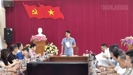 Lào Cai triển khai công tác chuẩn bị đăng cai Giải Bóng đá nữ các dân tộc thiểu số Việt Nam - VTV Cup lần thứ I, năm 2026