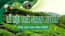 INFOGRAPHIC: LỄ HỘI TRÀ SHAN TUYẾT TỈNH LÀO CAI NĂM 2025
