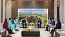 Phó Chủ tịch UBND tỉnh Vũ Thị Hiền Hạnh làm việc với Hãng hàng không Vietnam Airlines về công tác tuyển dụng lao động