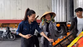 Để trái cây nhập khẩu tới tay người tiêu dùng