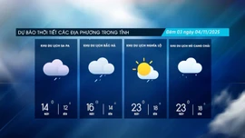 Đêm có mưa nhỏ vài nơi, vùng núi trời rét đậm