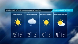 Đêm có mưa nhỏ vài nơi, ngày trời nắng