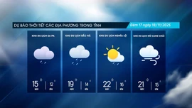 Đêm về sáng có mưa vài nơi, trời chuyển rét đậm