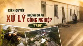 Kiên quyết xử lý những dự án công nghiệp “treo”