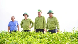 Phát triển nông nghiệp hàng hóa gắn với chuỗi giá trị - hướng đi bền vững của Mường Khương