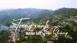Trong xanh mảnh đất Suối Giàng