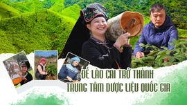 Để Lào Cai trở thành trung tâm dược liệu quốc gia