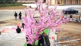 Sẵn sàng cho Lễ hội Đền Ken năm 2026