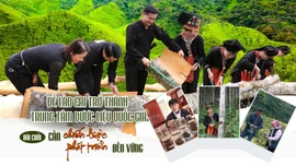 Bài cuối: Cần chiến lược phát triển bền vững